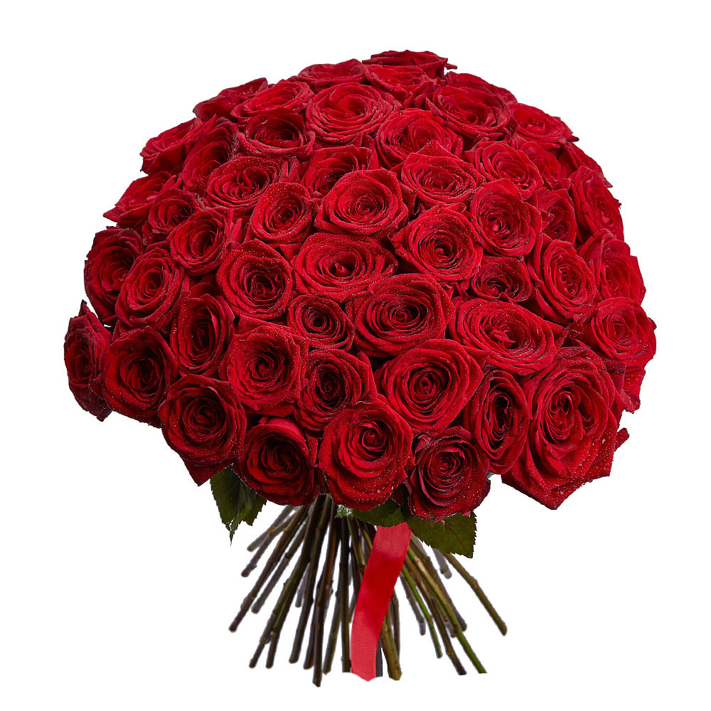 Акция! Розы Красные 51 шт. 60 см